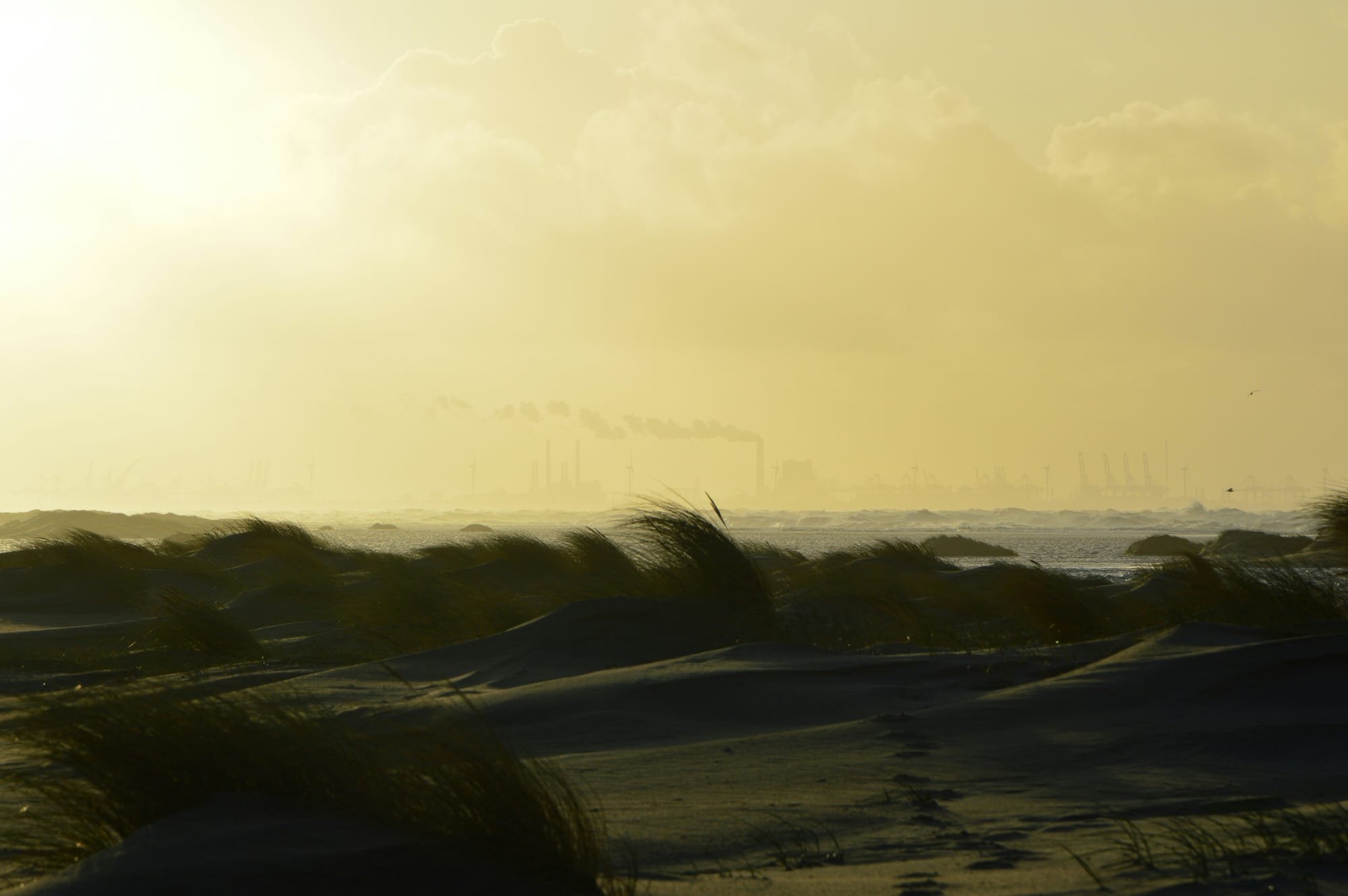 The Invention of Normal (Part 2)