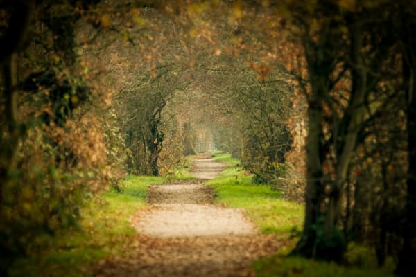 Healing Isn’t Linear: Why You Don’t Need to Get Over It