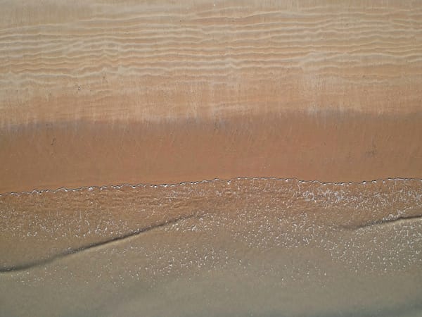 The Feel–Understand–Nurture Approach to Emotional Processing