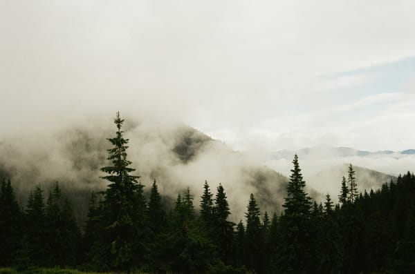 How to Cope When Life Throws More Than You Can Handle