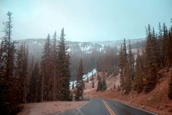 What I Wish I’d Known at the Start of My Healing Journey